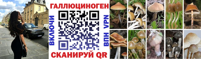 Галлюциногенные грибы мицелий mega ссылка Дмитриев дарнет шоп